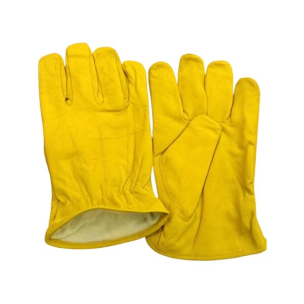 Driving Gloves